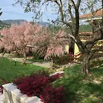 公寓 Le Rasole 加尔达